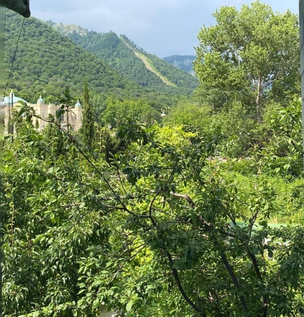 Panoramic Tufandag Family Apartment 盖贝莱 外观 照片